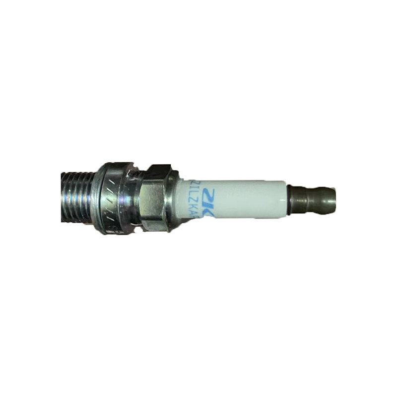 Bắn 10162965 RW RX5 GS HS